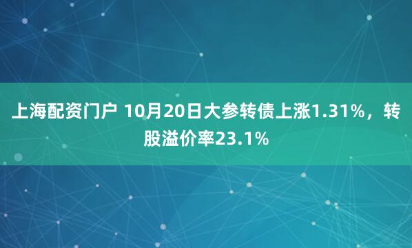 上海配资门户 10月20日大参转债上涨1.31%，转股溢价率23.1%